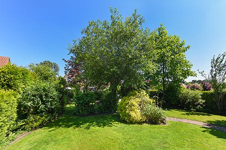 Foto aus der Fotogruppe 