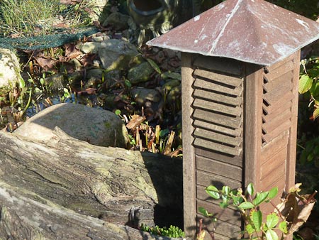 Foto aus der Fotogruppe 