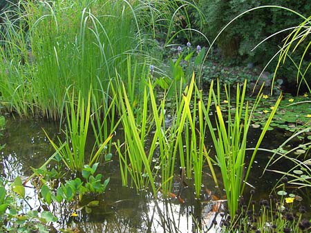 Foto aus der Fotogruppe 