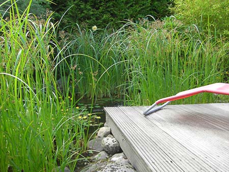 Foto aus der Fotogruppe 